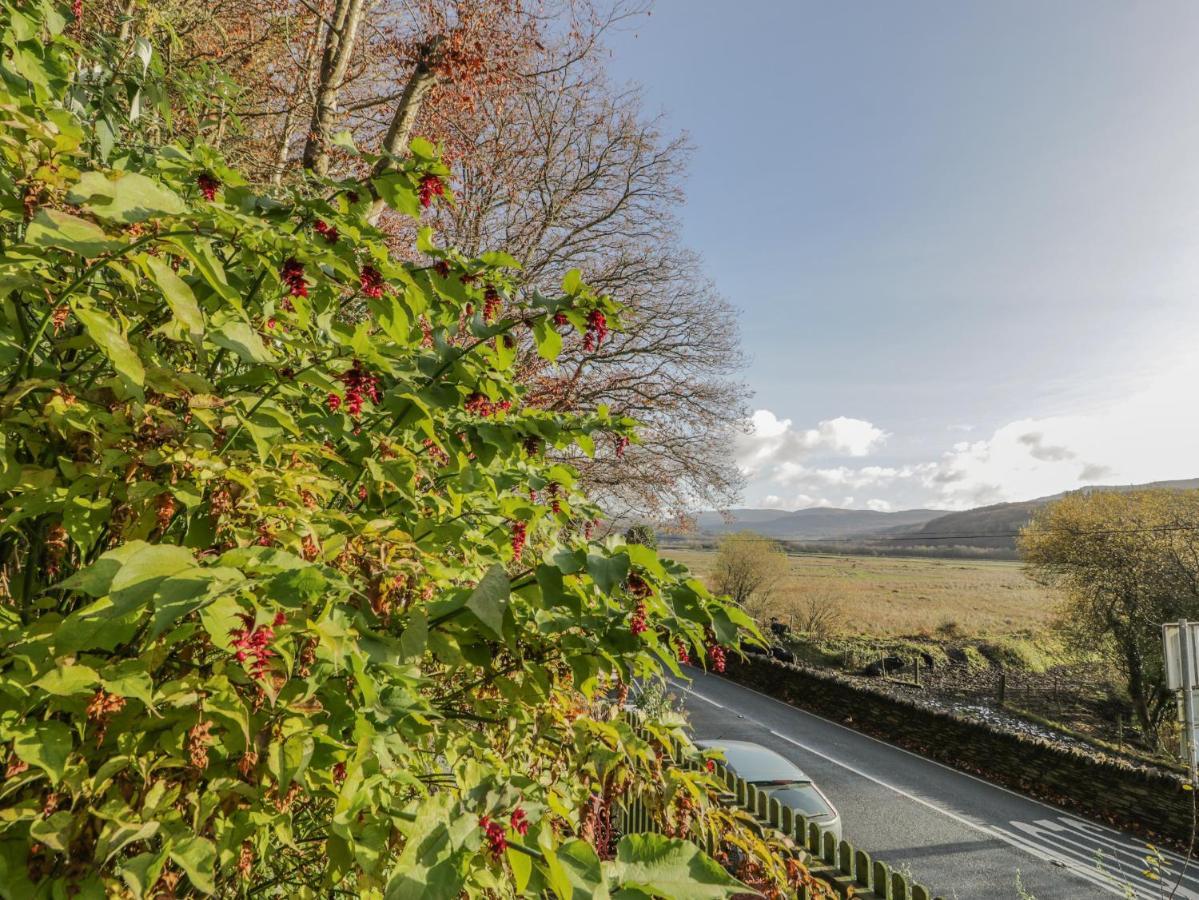 Bryn Melyn Artist'S Cottage Llanelltyd Dış mekan fotoğraf